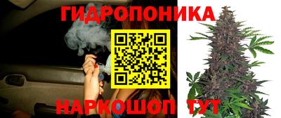 соль ск Пугачёв