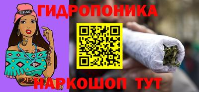 дмт Пушкино