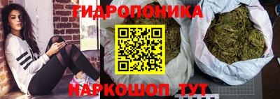 дмт Пушкино