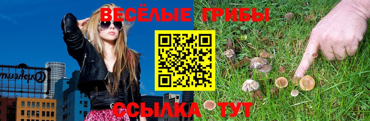 Псилоцибиновые грибы мухоморы Советский