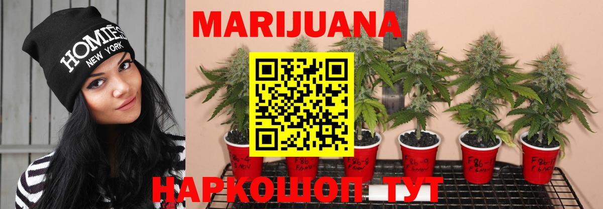 Марихуана тримм  Вход с VPN  Советский  Канабис ГИДРОПОН 